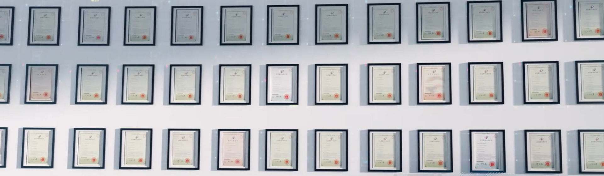 社會(huì)榮譽(yù)